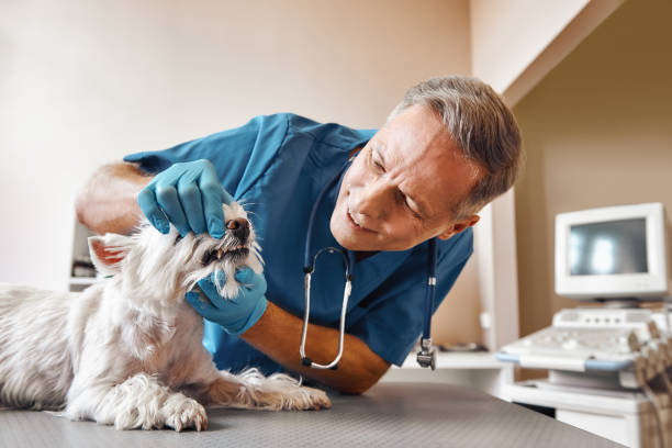 Best 24-Hour Emergency Dentist in Acworth, GA